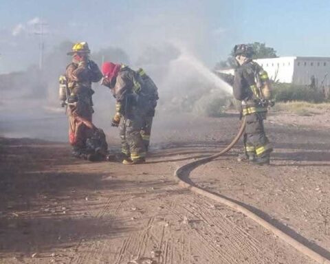 Bomberos rescatando a un hombre atacado por abejas.