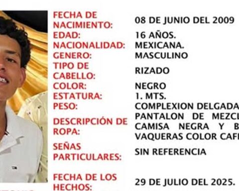 Ficha de búsqueda de David Antonio.