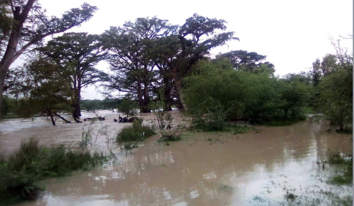 Río Álamos en Múzquiz incrementa su nivel tras lluvias; monitorean situación